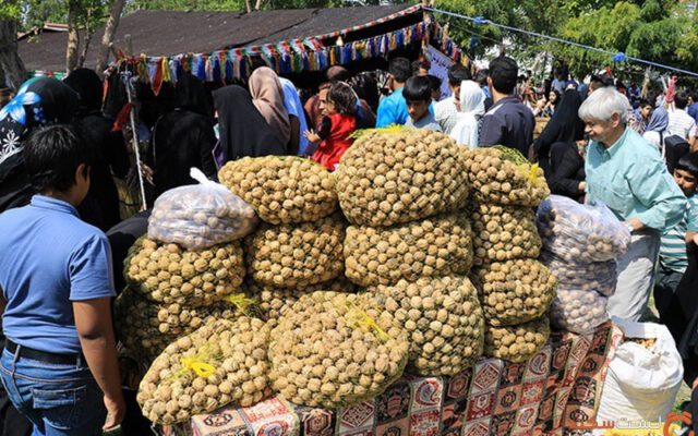 رتبه ایران در تولید گردو و شهرهای معروف آن