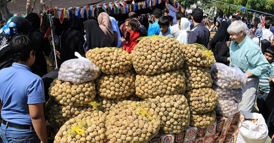 رتبه ایران در تولید گردو و شهرهای معروف آن