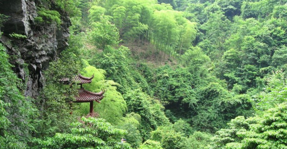 جنگل‌های فنگ ‌شویی بزرگترین امید چین برای حذف دی‌اکسید‌کربن
