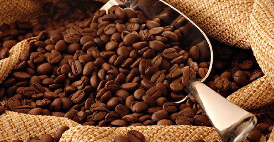 آشنایی با خصوصیات قهوه هائیتی