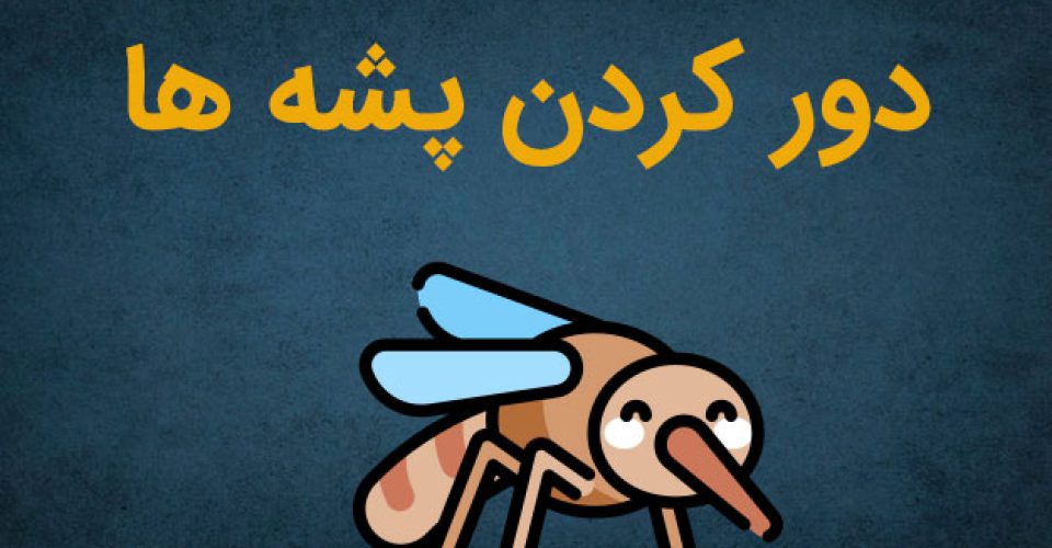 10 اسپری طبیعی برای جلوگیری از نیش پشه ها و دور کردن آن ها