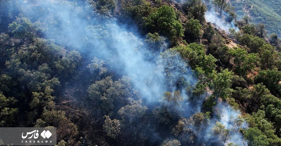 سودجویان عرصه‌های طبیعی را برای افزایش اراضی آتش می‌زنند | بیشترین آتش‌سوزی‌ جنگل در چه ساعاتی رخ می‌دهد؟ + اینفوگرافیک