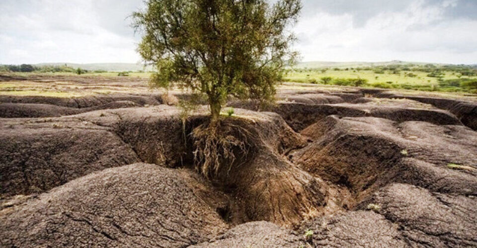 فرسایش خاک امنیت غذایی میلیاردها انسان را به خطر انداخته است | خاک، برکت سفره زمین