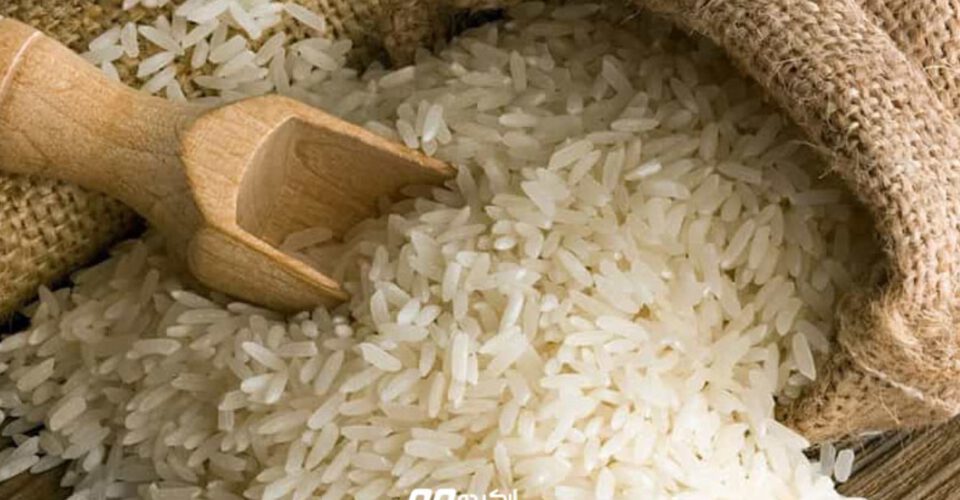 رفع شوری برنج با ترفندهای ساده و کاربردی
