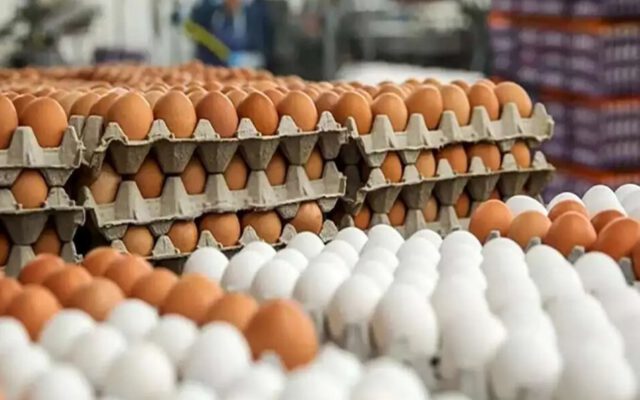 جدیدترین قیمت تخم مرغ در بازار | تخم مرغ شانه ای چند شد؟
