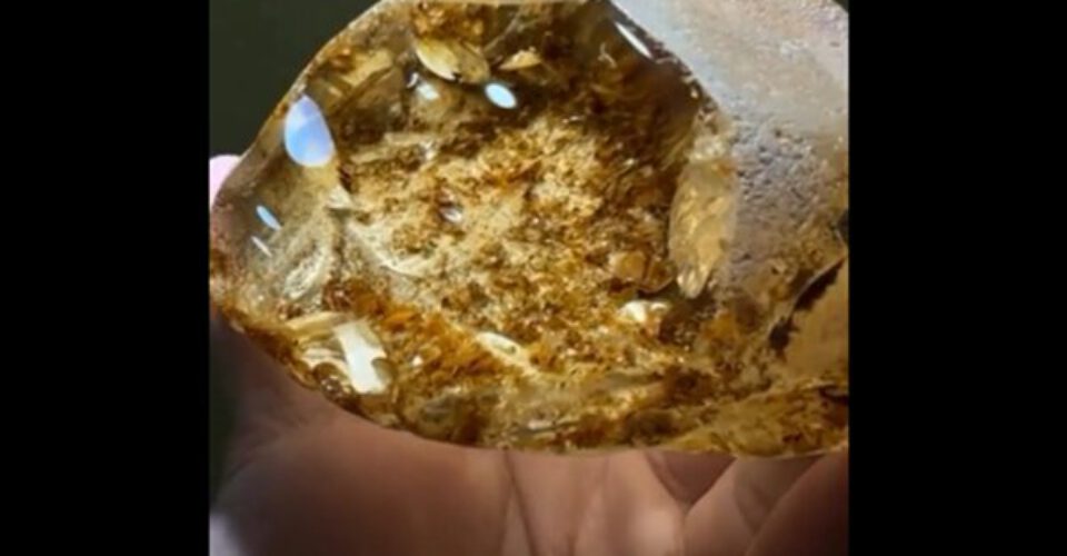 رد پای یک ایرانی در استخراج طلا | طلا به دست بیاور، محیط زیست را نجات بده!