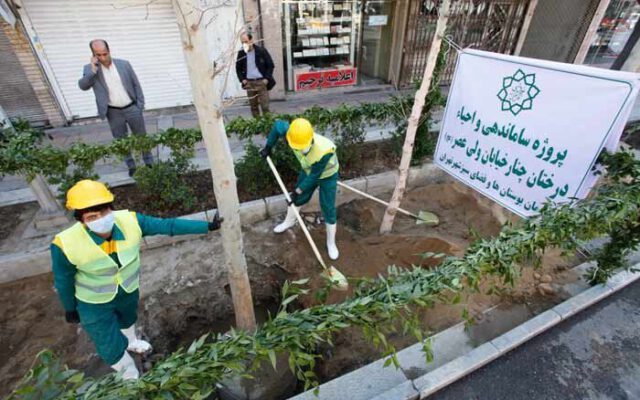 کاشت ۳۰۰ اصله درخت در خیابان ولیعصر | کاشت درخت در منازل از طریق تماس با سامانه ۱۳۷