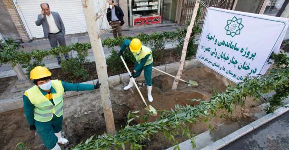 کاشت ۳۰۰ اصله درخت در خیابان ولیعصر | کاشت درخت در منازل از طریق تماس با سامانه ۱۳۷