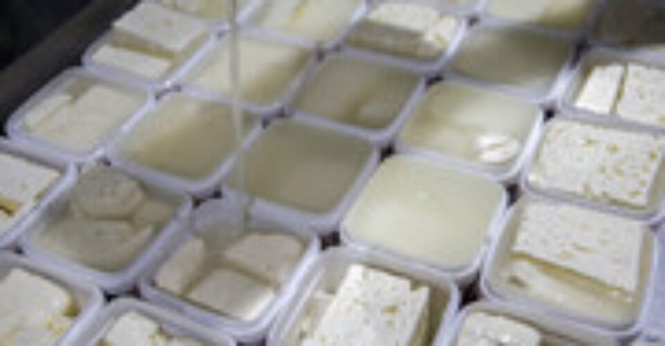 پنیر لیقوان و تبریز در میادین کیلویی چند؟ | قیمت انواع پنیر محلی و بسته بندی را ببینید