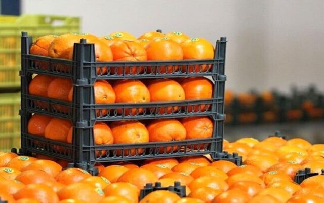 میوه های ارزان و با کیفیت را از این مراکز بخرید | قیمت پرتقال، سیب زرد و قرمز، نارنگی، موز و کیوی را ببینید