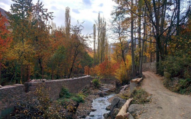 تعطیلات خود را میان جنگل و آبشار در چند متری تهران سپری کنید