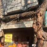 ملک 50 متری مسکونی تجاری 24 متر مغازه دو بر نبشی بازارچه جلیلی