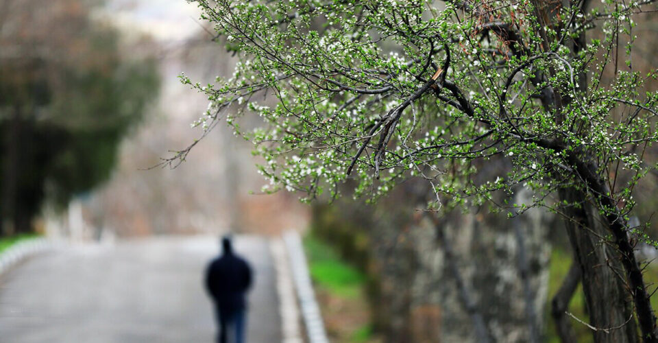 کشف بهار با پای پیاده