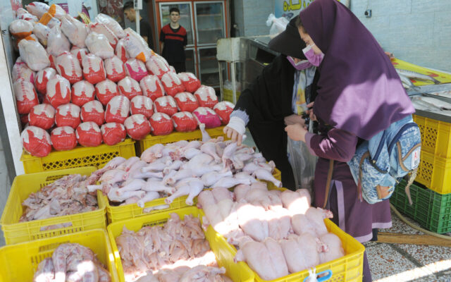 کاهش قیمت ها در بازار مرغ | مرغداران با ضرر می‌ فروشند