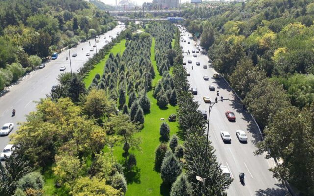۵ اتفاقی که شهرداری تهران پای درختان ایستاد | دیه قطع درختان شهر کجا هزینه شد؟