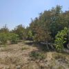 900 متر زمین مناسب ساخت ویلا مشجر به درختان میوه