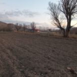 هزارمتر زراعی در فیروزکوه شهرآباد