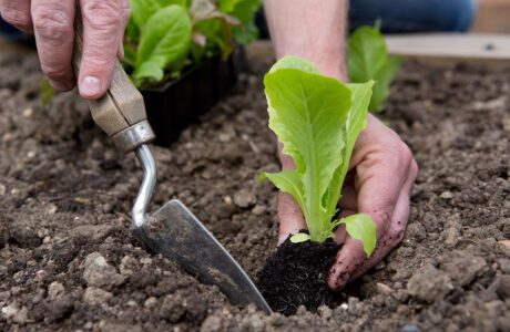 ۱۴ وسیله‌ی باغبانی که نگهداری از گل و گیاهان را در خانه آسان‌تر می‌کنند