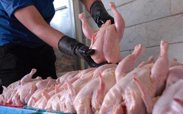 آخرین وضعیت گوشت مرغ و گوشت قرمز در بازار | گوشت منجمد گوساله کیلویی ۳۱۵ هزار تومان؛ مرغ کیلویی چند؟