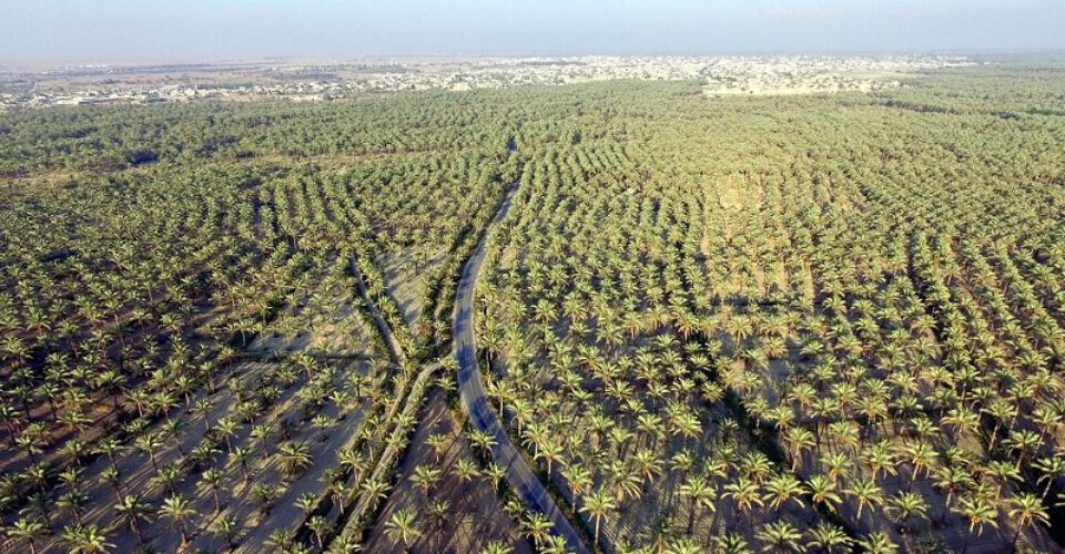 تابستان شروع شد ؛ دمای بالای ۴۷ درجه در ۶ شهر ایران