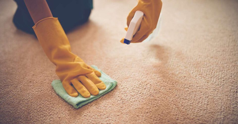 پاک کردن لکه شیر از روی فرش | برای رفع بوی بد شیر از روی فرش چه کنیم؟