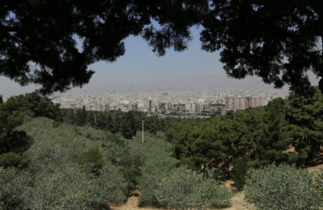 احتمال احیای ۱۶ هزار درخت تهران وجود دارد | دلیل خشکیدن درختان پارک های جنگلی سرخه حصار و چیتگر چیست؟ | درختان را قطع می کنیم اگر…