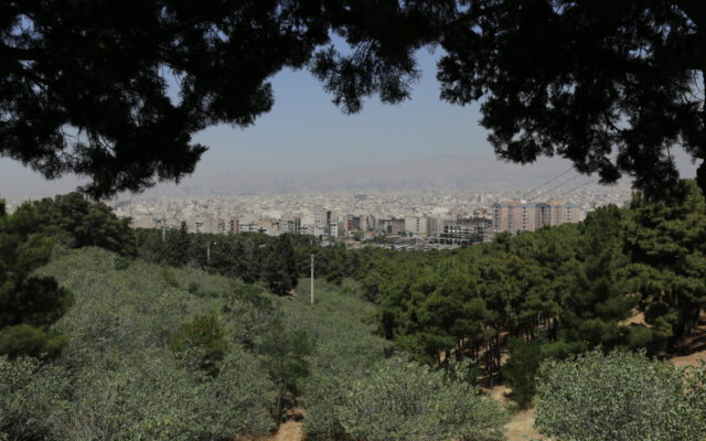 احتمال احیای ۱۶ هزار درخت تهران وجود دارد | دلیل خشکیدن درختان پارک های جنگلی سرخه حصار و چیتگر چیست؟ | درختان را قطع می کنیم اگر…