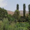 زمین باغچه ای به متراژ 290 متر در گلینک طالقان