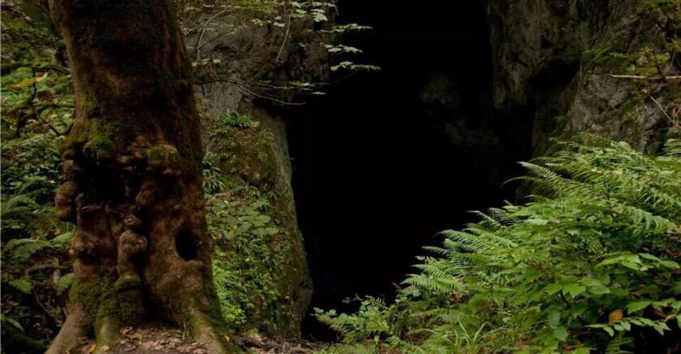 غار آویشو؛ طولانی ترین غار آبی در گیلان