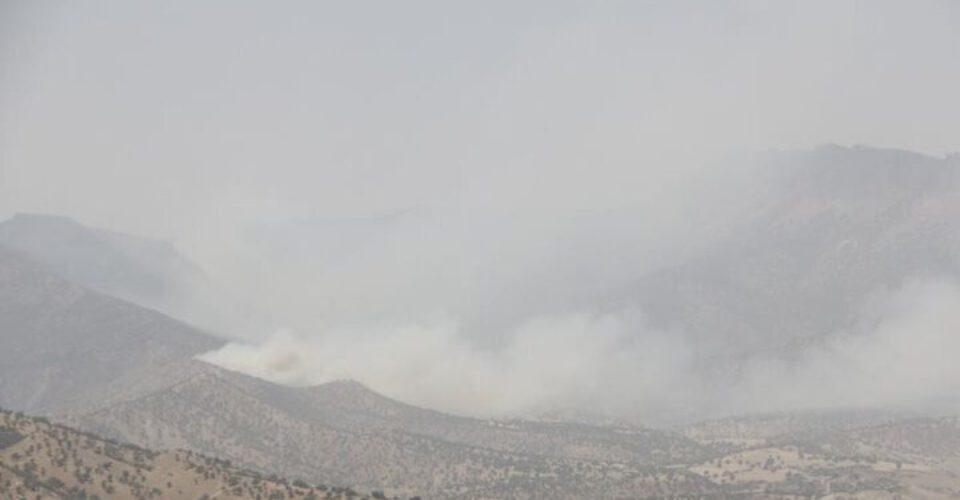 آتش‌سوزی به جنگل‌های پلدختر رسید + جزئیات