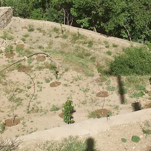 باغ و باغچه کردان سیباندره لب رودخانه 1500متری