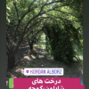 باغ 2،000 متری در کردان ( سهیلیه )