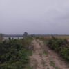 6000مترزمین کشاورزی در امیر آبادساحلی ایزدشهر