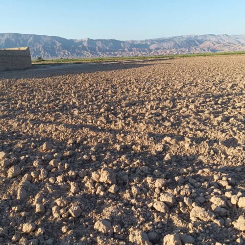 زمین کشاورزی در شهرستان گرمسار مناسب سرمایه گذاری سند تک برگ وشش دانگ