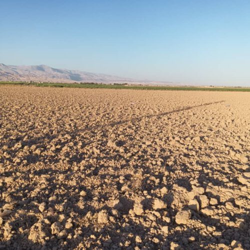 زمین کشاورزی در شهرستان گرمسار مناسب سرمایه گذاری سند تک برگ وشش دانگ