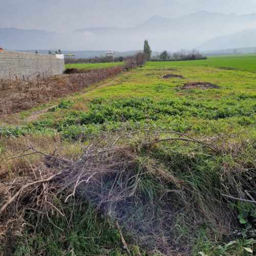 زمین مسونی داخل بافت روستای سرکلاته