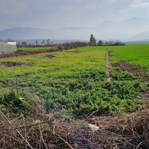 زمین مسونی داخل بافت روستای سرکلاته