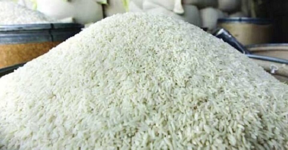 ایران چقدر برنج تولید می کند؟ | روایت آمارها از بازار برنج