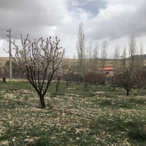 زمین در دشت زیبای کلفور فیروزکوه