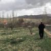 زمین در دشت زیبای کلفور فیروزکوه