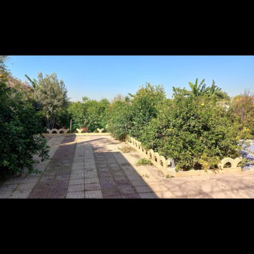 فروش باغ در شمس اباد دزفول
