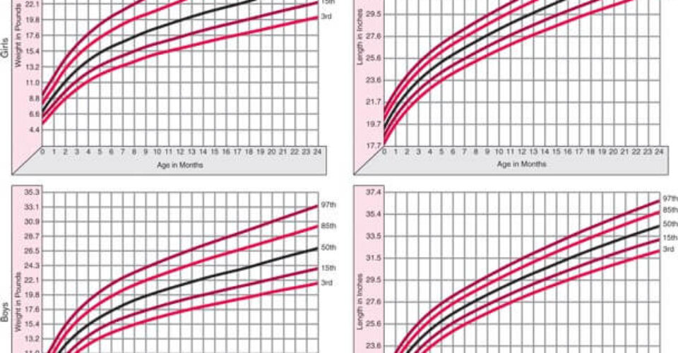 روند رشد جسمی نوزادان و کودکان چگونه است؟