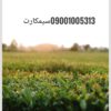 سیم کارت رند مناسب کسب و کار09001005313