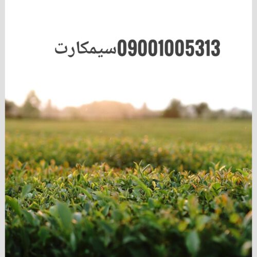 سیم کارت رند مناسب کسب و کار09001005313