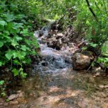 فروش زمین در جاده زیبای چالوس _ شهرستانک