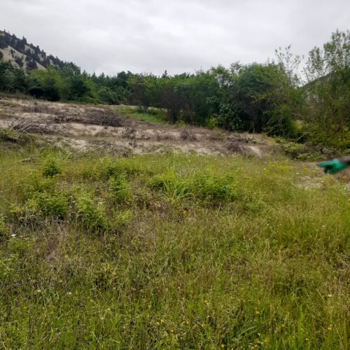 فروش زمین در روستای حسن آباد کجور نوشهر