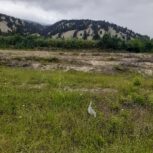 فروش زمین در روستای حسن آباد کجور نوشهر