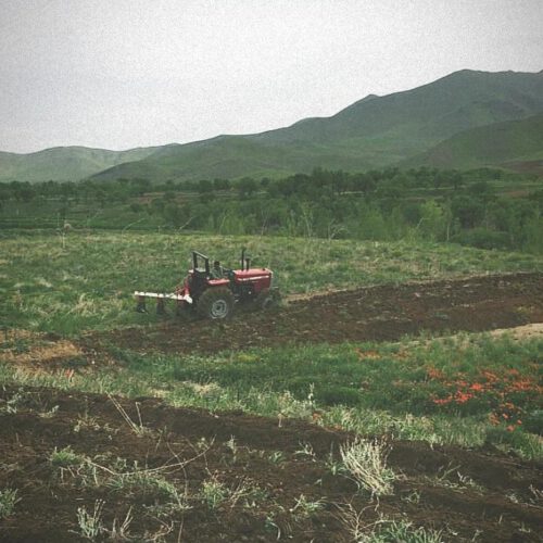 6 قطعه زمین در یک مکان عالی