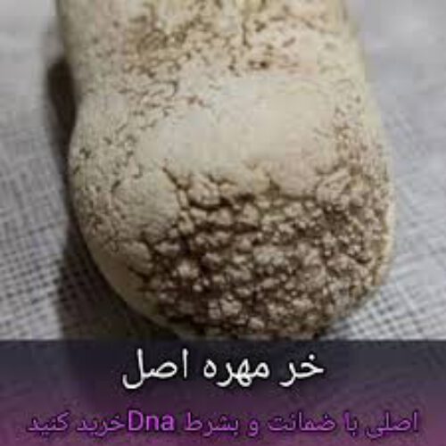 خرمهره / دعای خرمهره خرموره