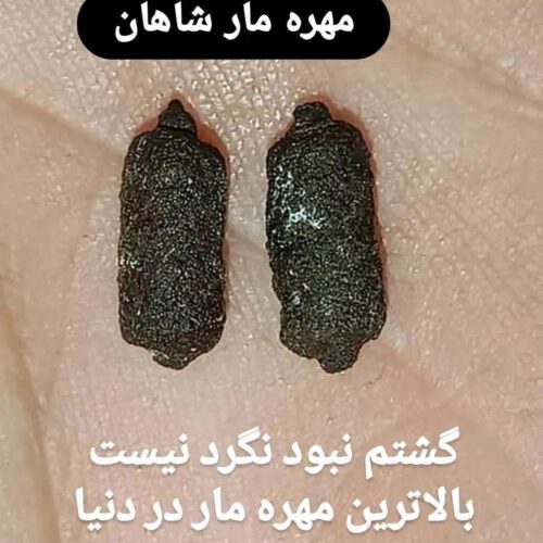 مهره مار / مهره مار شاه کبری اصل (راز خوشبختی)مارموره خرموره خرمهره